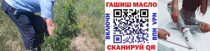 Дистиллят ТГК THC oil где купить Касимов