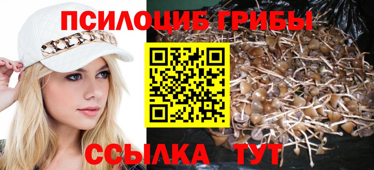 Псилоцибиновые грибы ЛСД Касимов