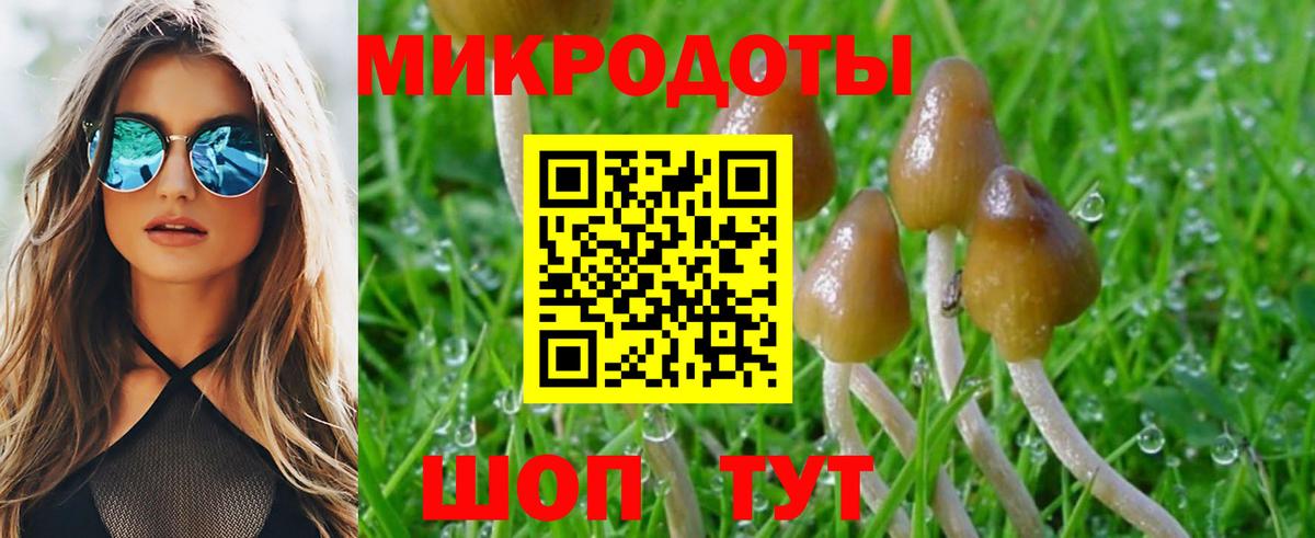 Галлюциногенные грибы ЛСД  Вход с VPN  Касимов 